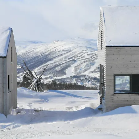 Overlooking Hallingskarvet National Park Tatil Evi
